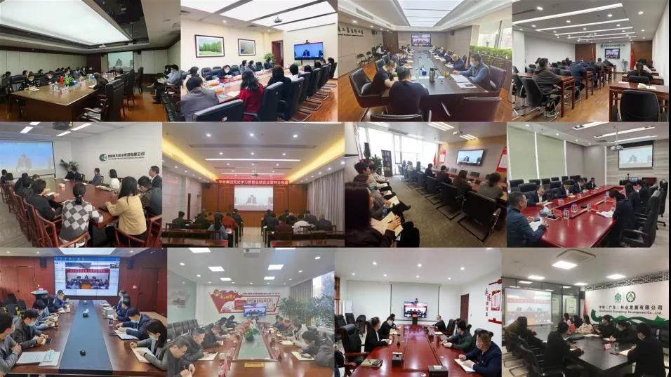 中林集團召開黨史學習教育總結(jié)會議(圖3)