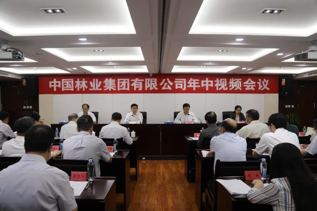 集團(tuán)公司召開2021年年中工作視頻會(huì)議(圖4)